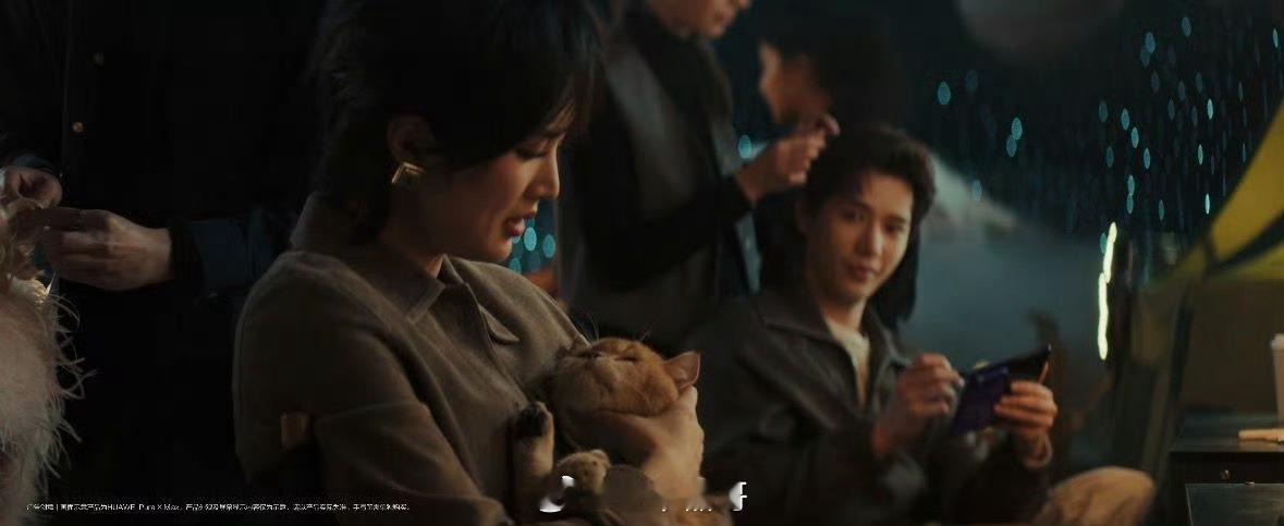 王安宇用大阔折画的猫太传神了三集短片风格多元，故事小巧又有巧思。《寻猫企画》温暖