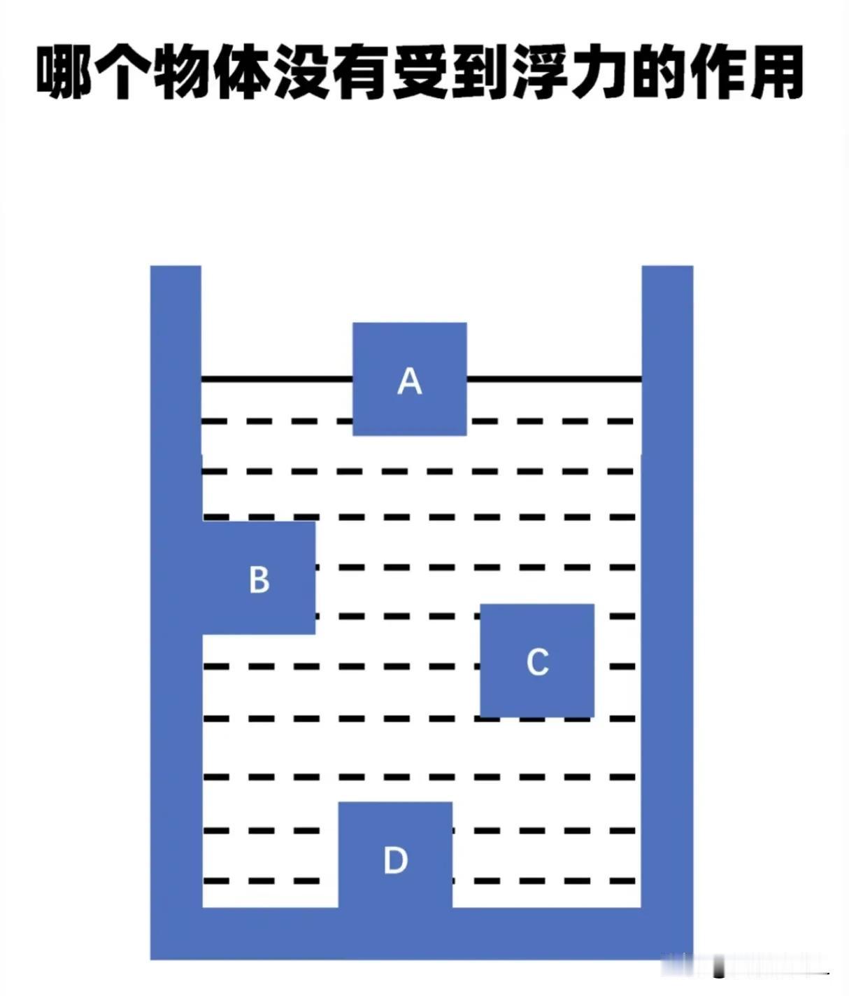 浮力，哪个物体没有受到浮力的作用？