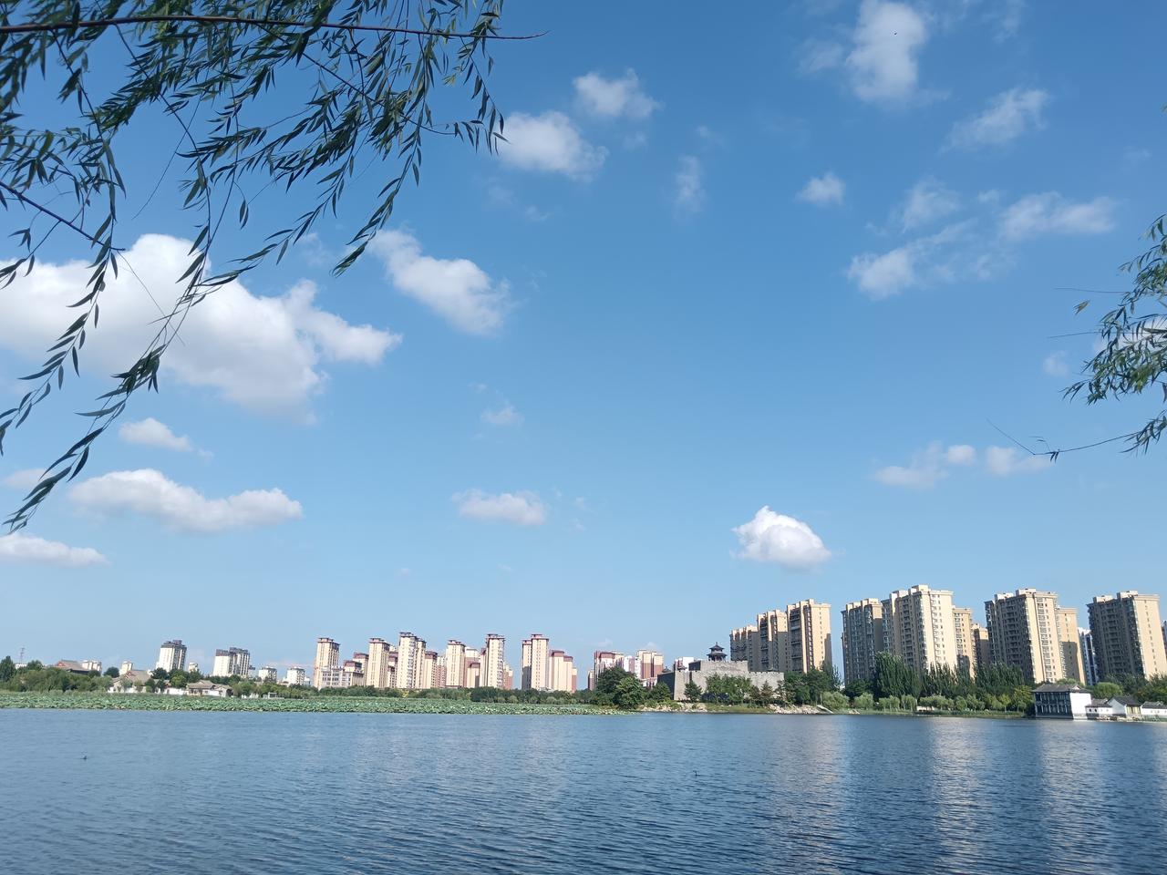 今日有什么特别感悟人生在世不论怎么走、也无论你是否辉煌与落魄，都会或多或少留有遗