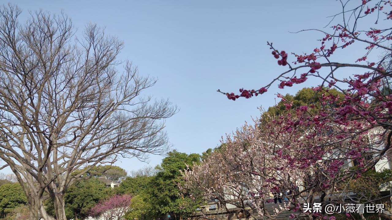 我们这里有个男人，既不赌博，也不花心，每天勤勤恳恳上班，完全一副好男人的模样。