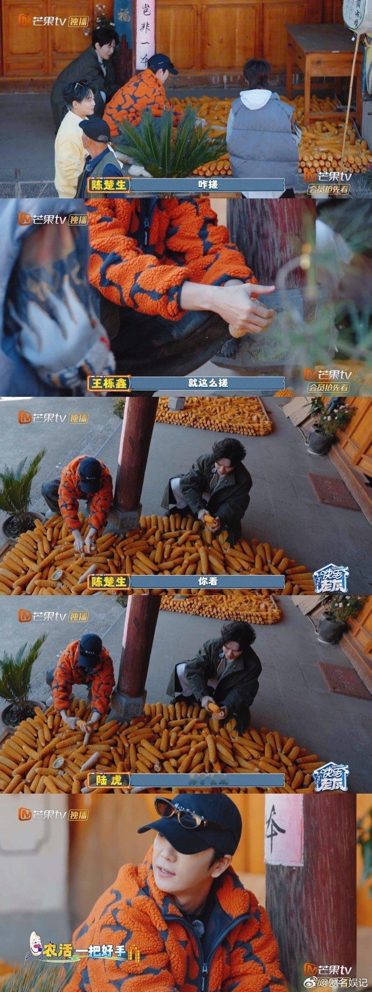 王栎鑫 干农活有的是力气和手段谁能拒绝会干农活的王栎鑫啊！剥玉米粒粒分明，熟练程