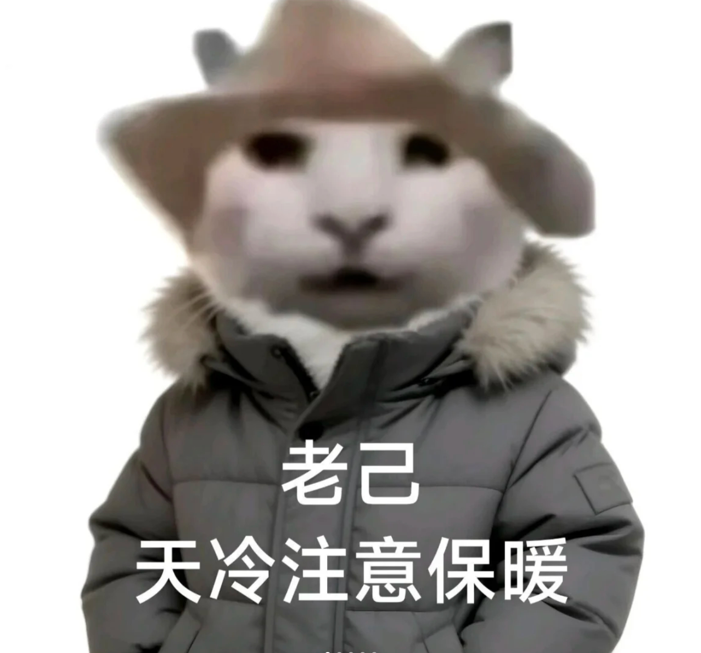 全国降温天猫服饰券加码全国多地降温，天猫双11服饰券也跟着加码了。10月20日晚