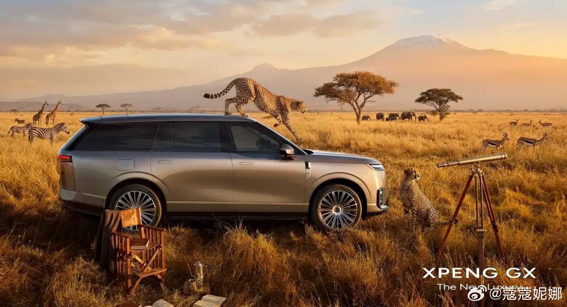 来，你们猜猜正面照 