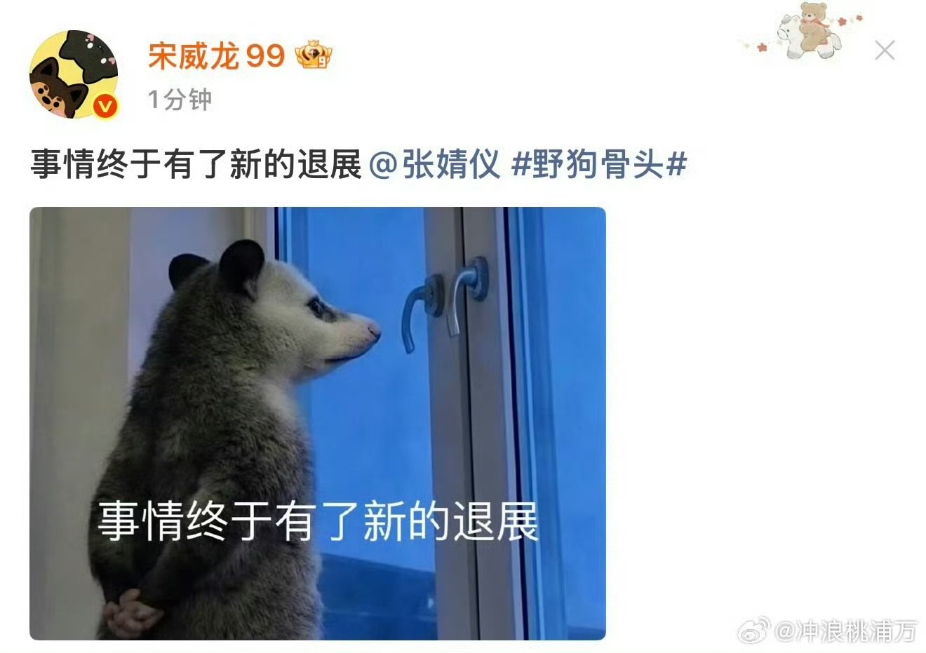 宋威龙张婧仪也是双向癫赴上了负鼠表情包迎来了它最适配的剧野狗骨头片场花絮加上正片