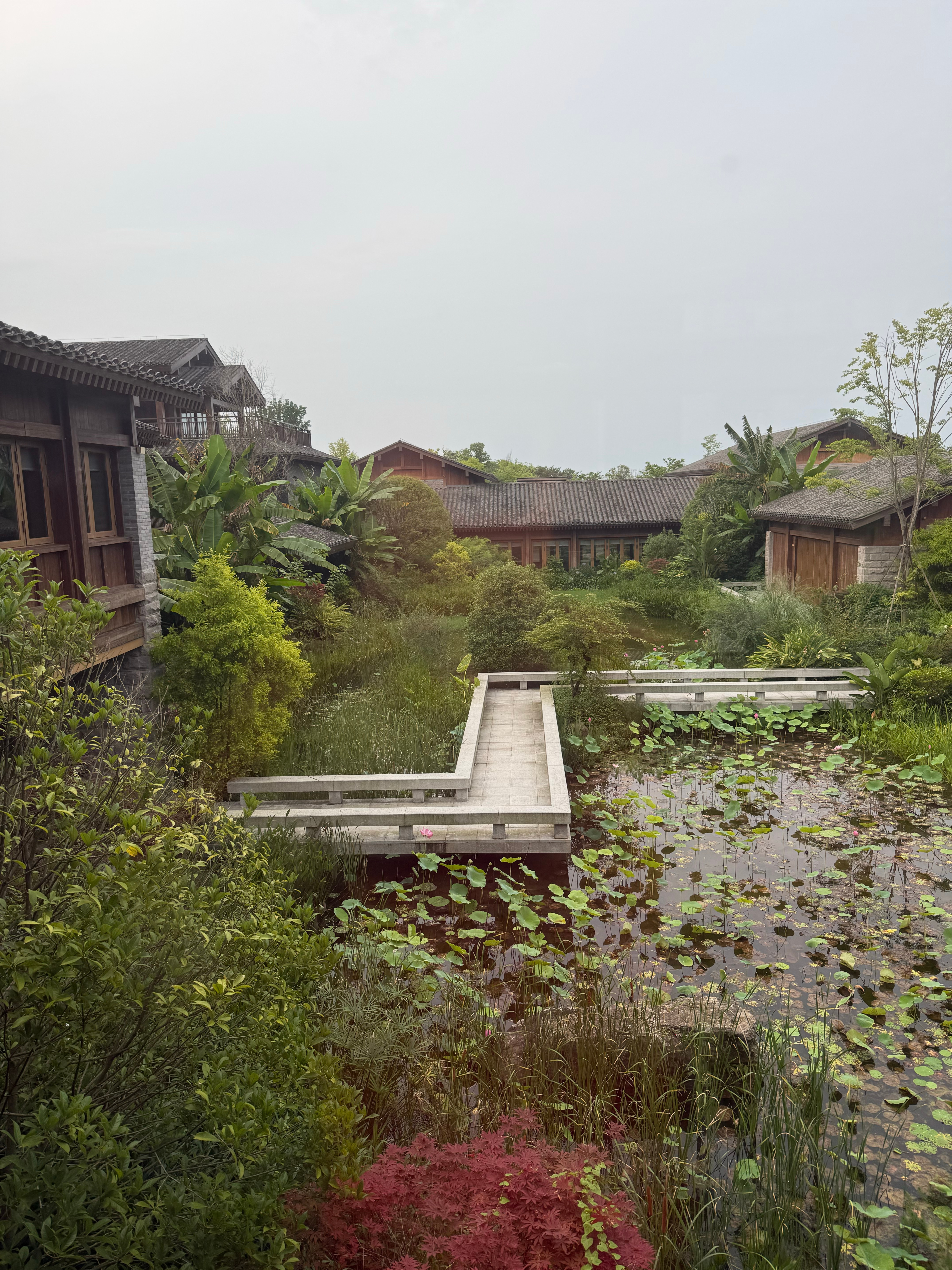 出来开会，住的地方确实风景不错但是吧……蛇出没…… 