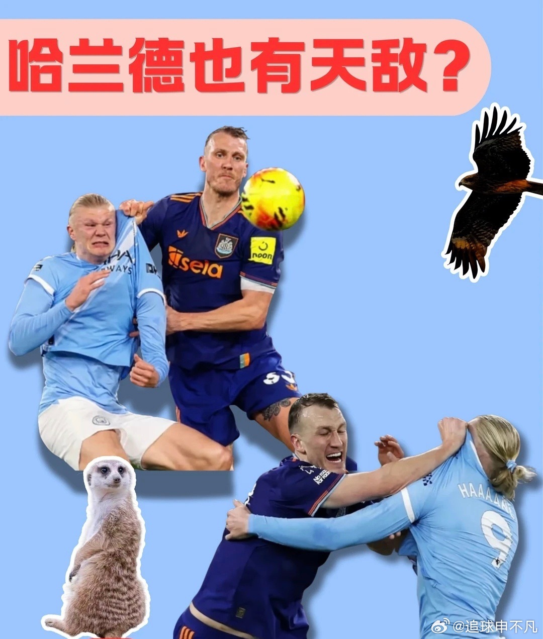 在绿茵场上，挪威前锋哈兰德向来是进球如麻的代名词，无论是在国家队还是俱乐部，他都