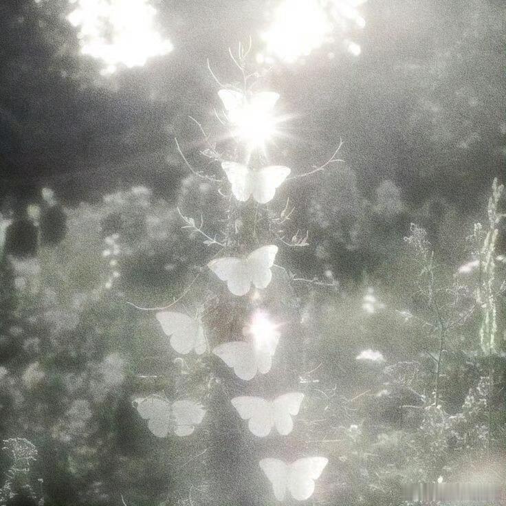 lmr刘梦芮萧靖琳lmr刘梦芮窈窈有期“我将思念藏进风里  年年有风  年年对你