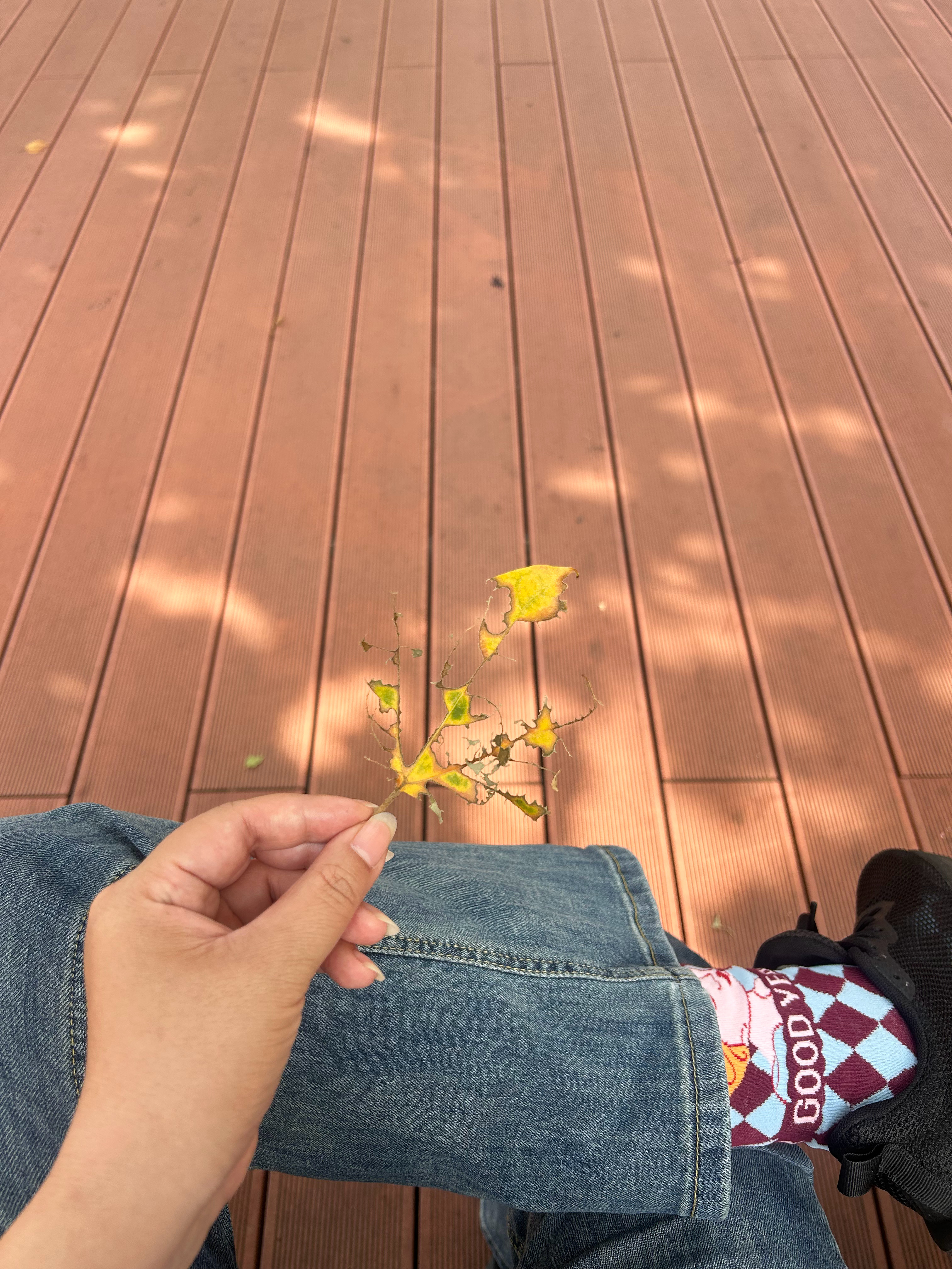 第一个事 穿袜子了 胃疼 没休息好 还有点紧张第二个事 你个破叶子🍁拍我干什么