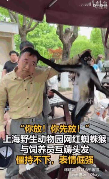 “不是冤家不聚头。”据媒体5月14日报道，在上海野生动物园，一场堪称“史诗级”的