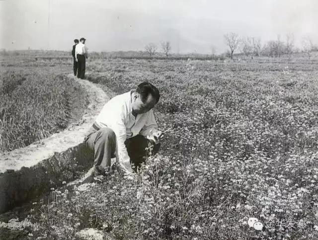 毛主席田间道，蹲地头查墒情！