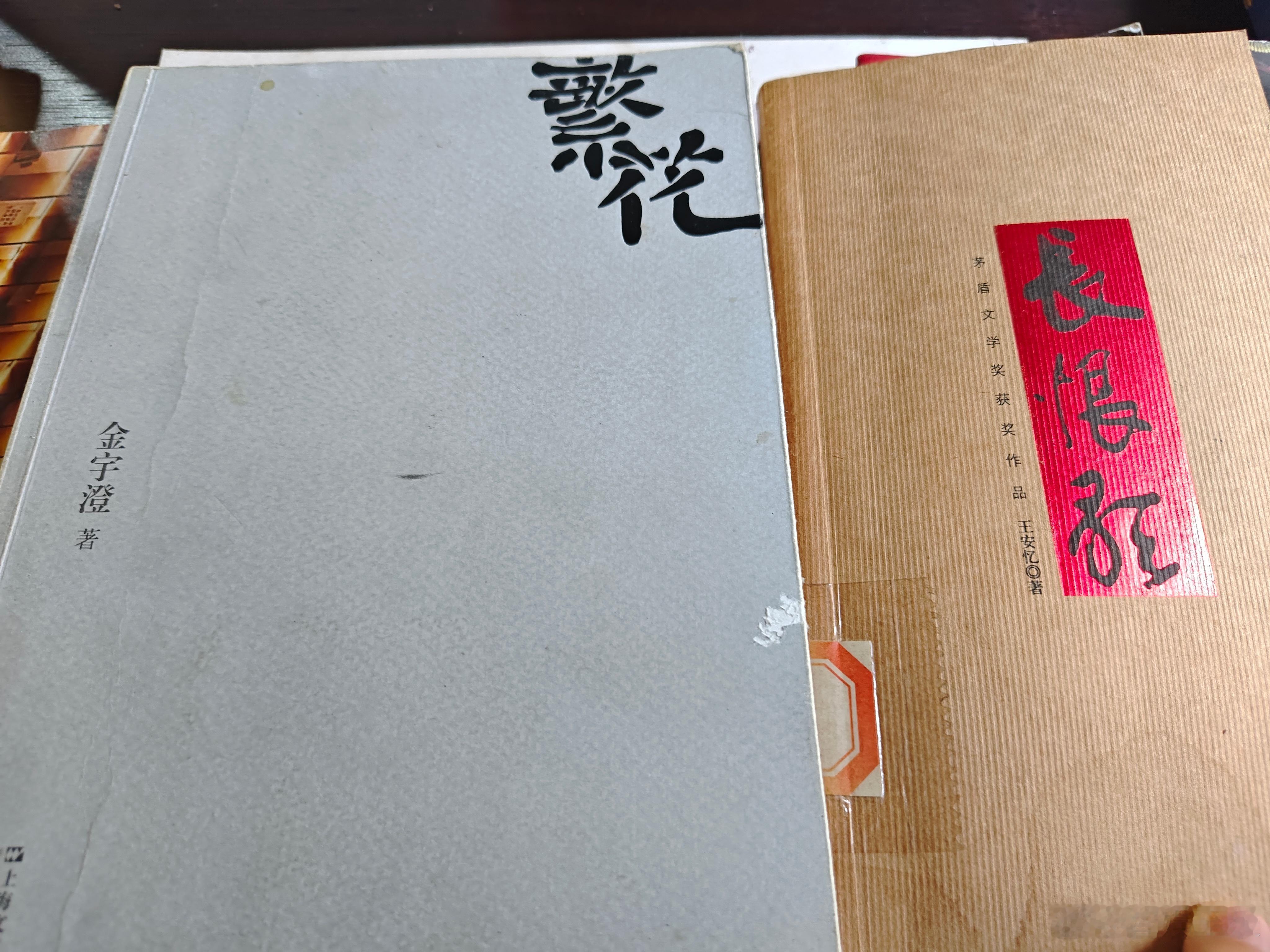 跳过前面几节，终于能看进去了，依然时常处于纠结，享受华丽的辞藻，学习细腻的表达，