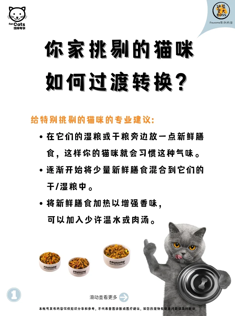 你家挑剔的猫咪如何过渡转换？