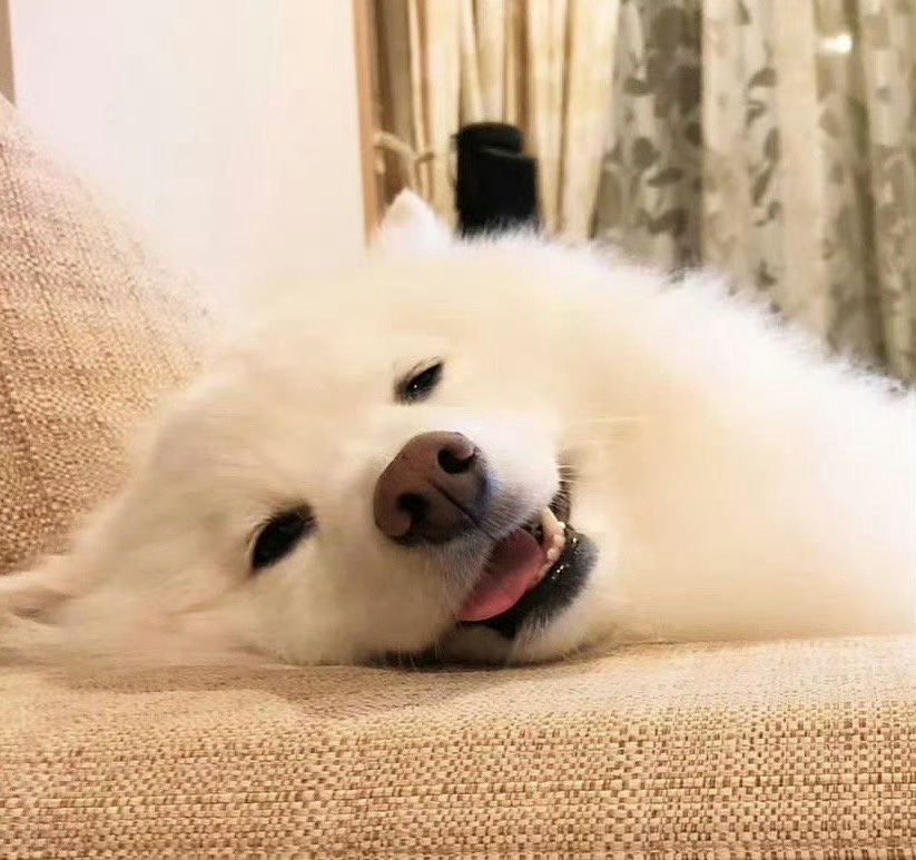 本周结束前你会收到最期待的好消息！ 