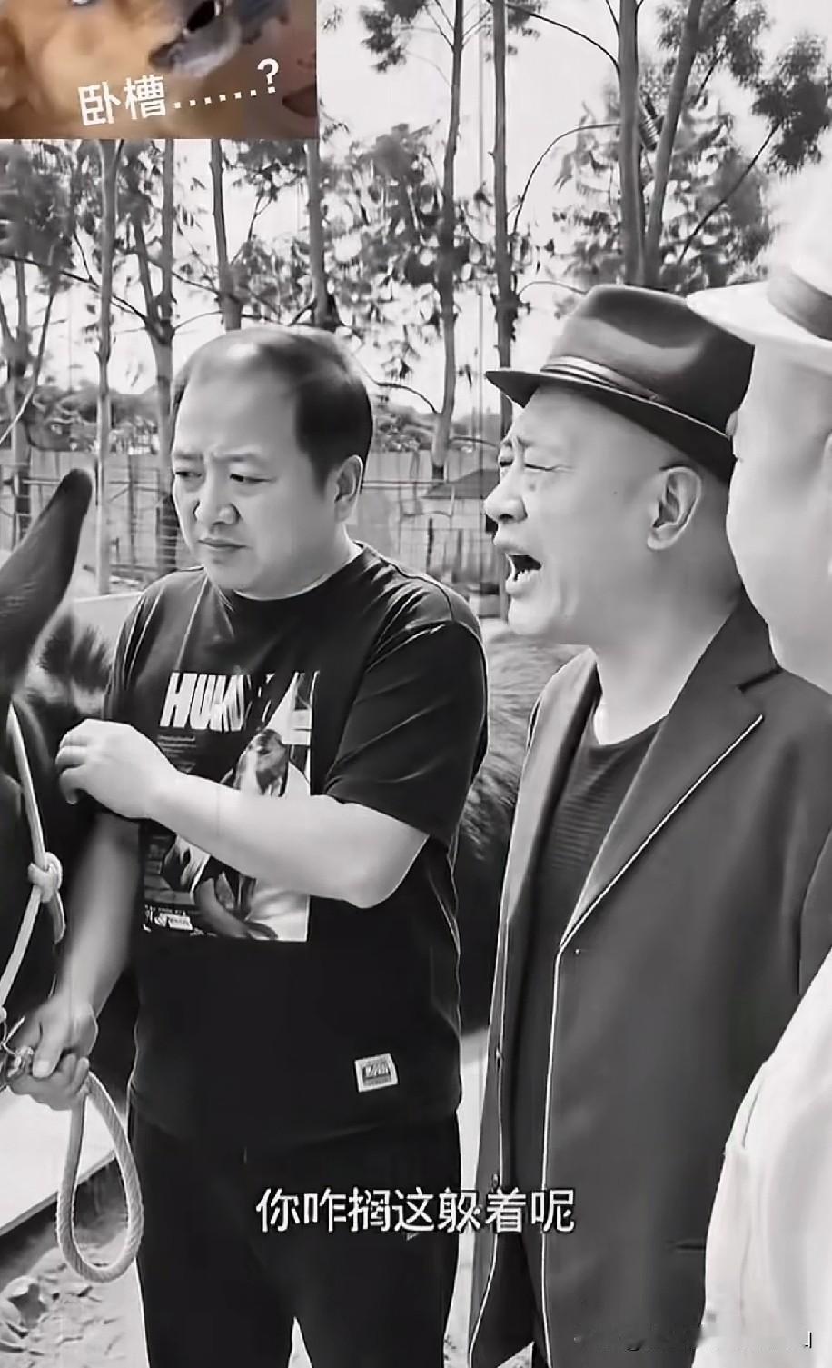 酸菜翻车驴揍的？刘能赵四谢广坤AI爆梗！网友强行挂钩相声圈，纯属过度脑补！
 