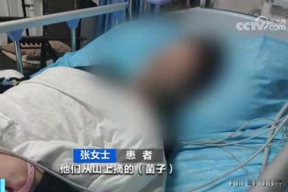 千万别吃！中毒病死率达70%，不熟悉的菌子不要随便吃。

云南的朋友总是轻而易举