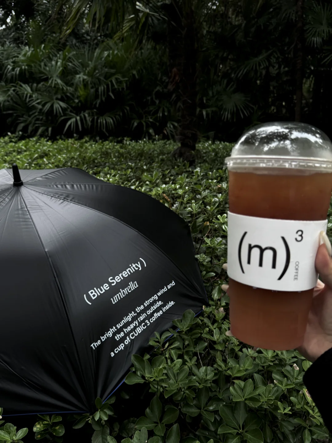 上海的阴雨天也太有氛围了☔️