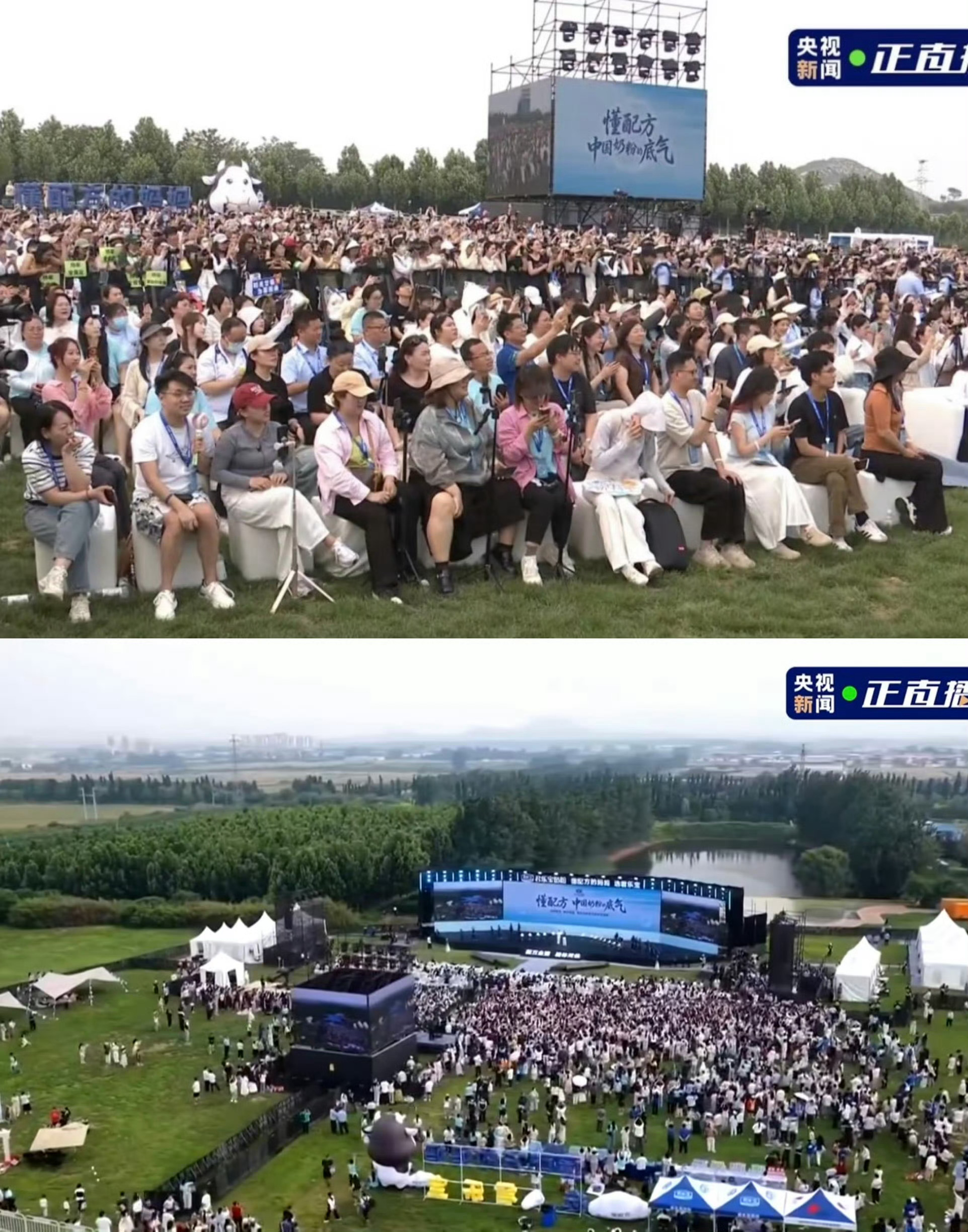 来自长红爆剧花的人气～杨幂太火了尼格买提被杨幂人气震惊到了