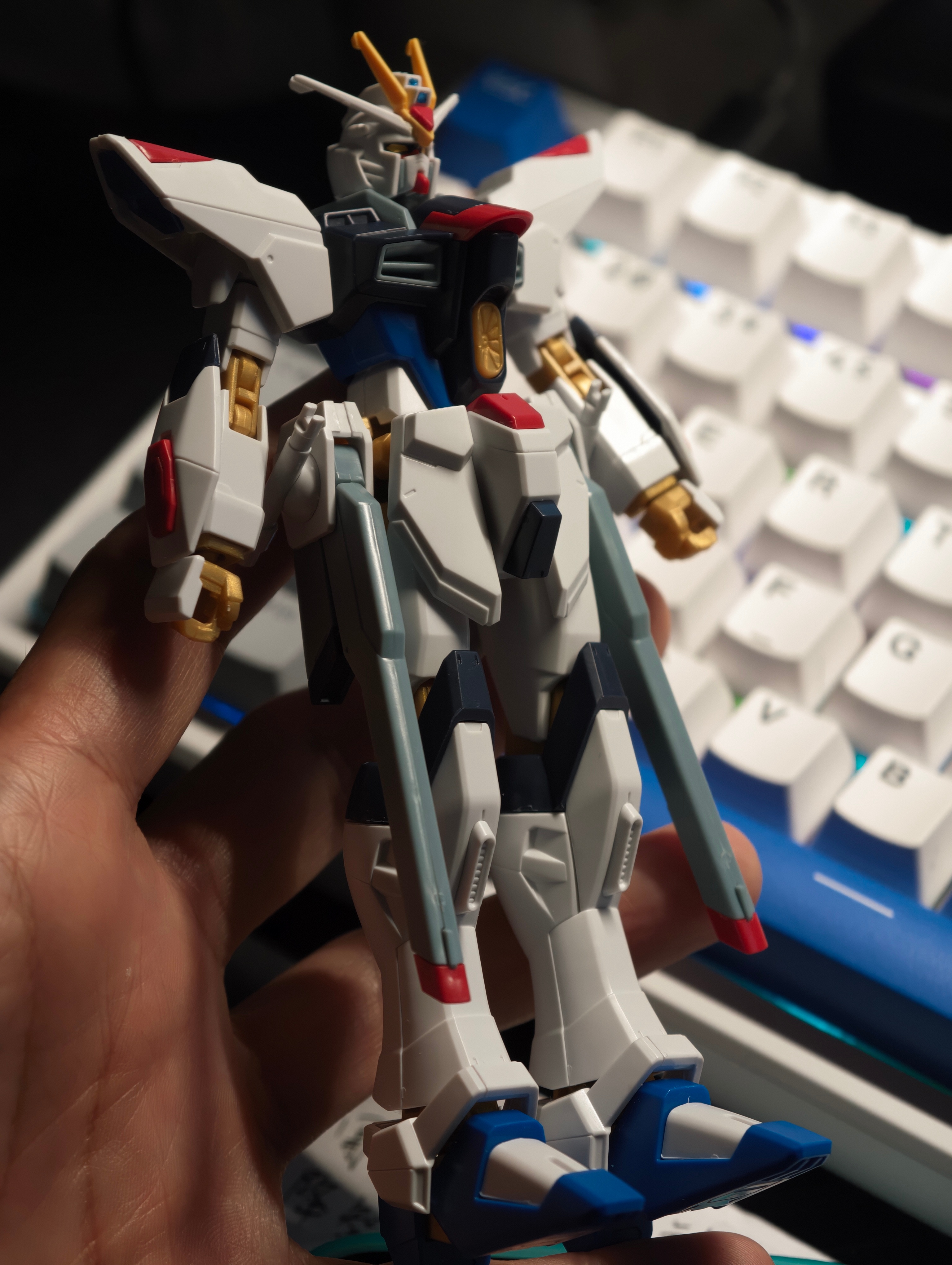 小朋友整天脑子里琢磨高达和火影，我觉得是最近对他太放纵了