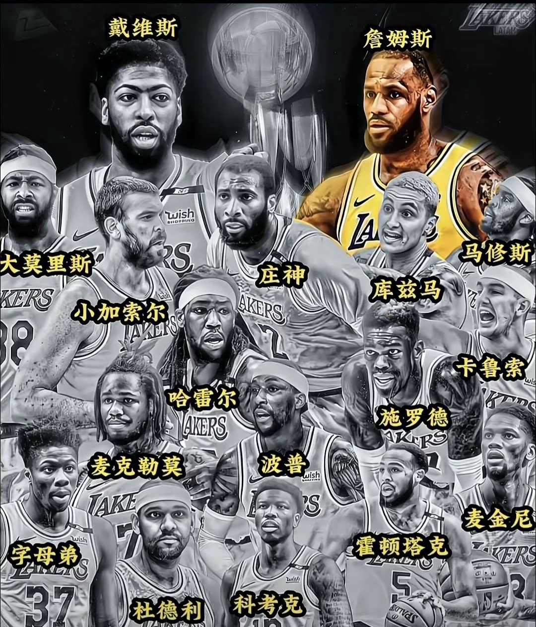 NBA2021年毁于伤病想要组织中锋来了加索尔想要自主进攻中锋来了最佳第六人哈雷