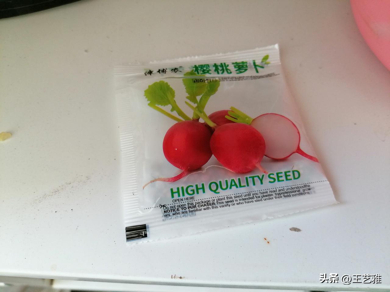早上，我把樱桃萝卜，生菜和鸡毛菜种了下去，没泡种子，直接种上的，也不知道能不能出