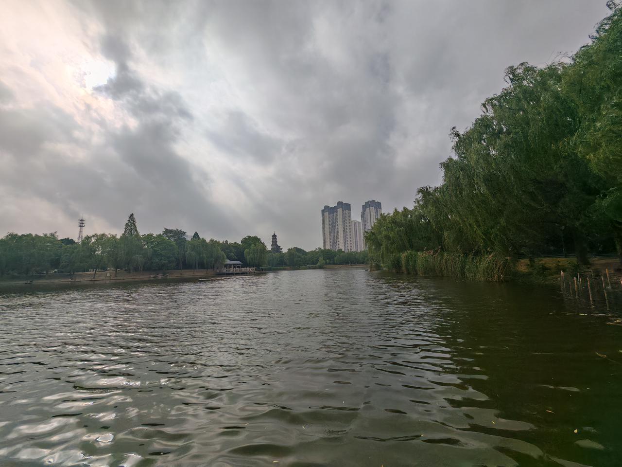 要下雨了，天空像被一块巨大的灰色幕布缓缓遮住。我想起上次下雨，出门没看天气预报，
