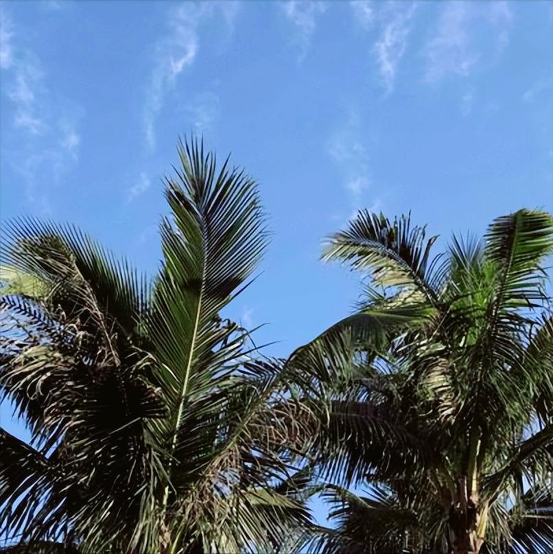 信息   关于湖南省人大的
 
今天17:00，关于湖南省人大的信息传递出。
 