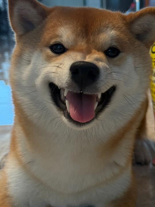 我超凶的！