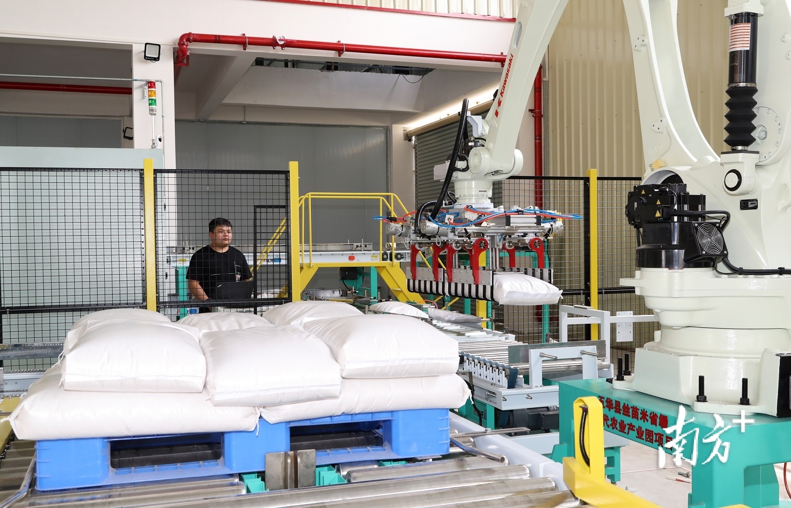 一粒米的产业链之旅|园区有新貌 振兴新图景