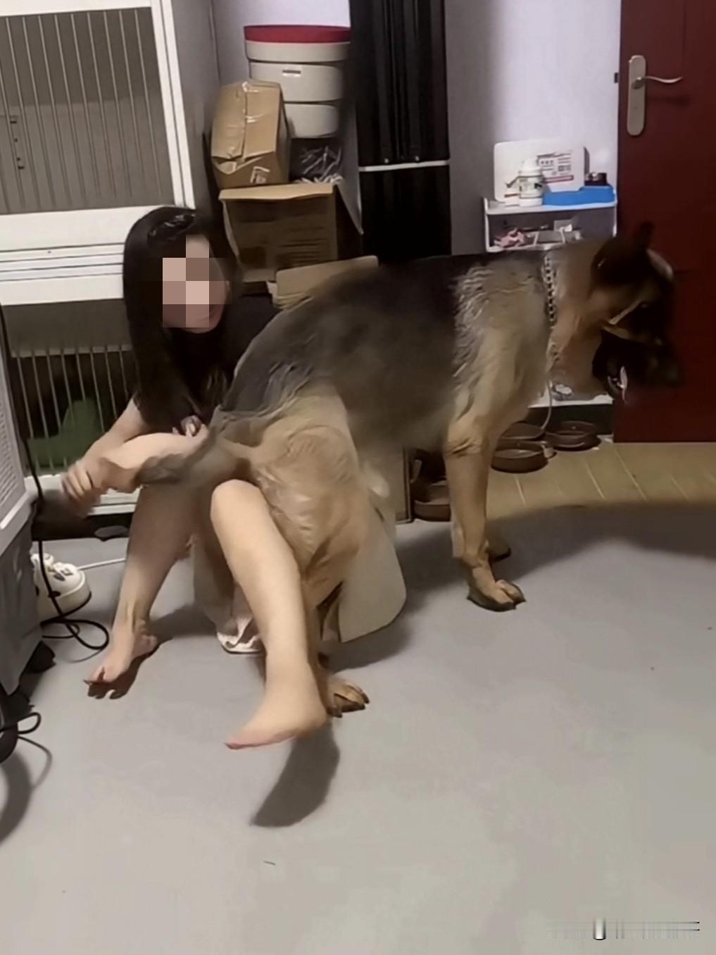 你说你养狗就养狗吧，跟自家的狗互动就互动吧，这样拍成视频发到网上我就有点不理解了
