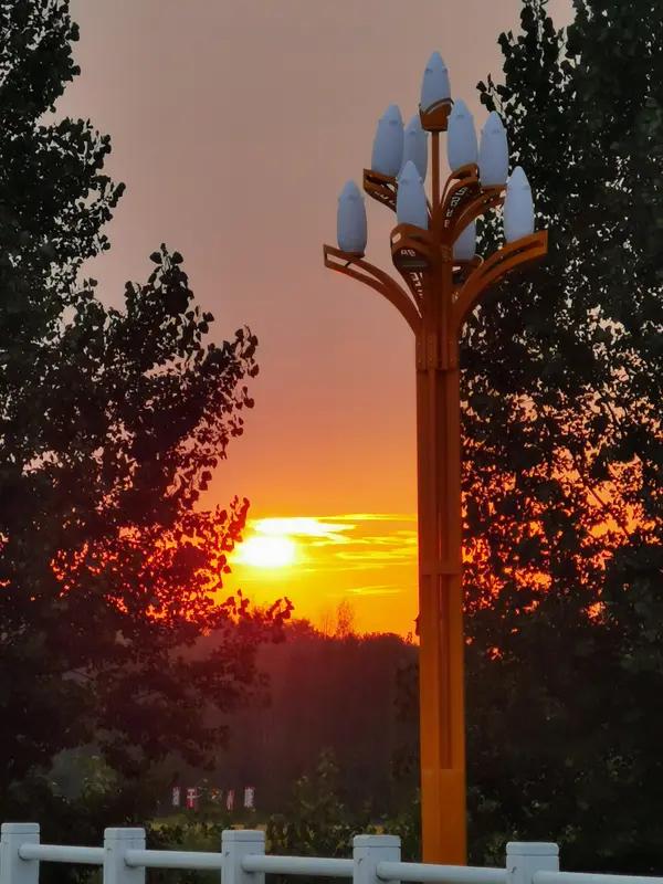 老师的雅评实在是妙极了！从这段评论中，能真切感受到老师几十年的文学积淀绝非虚言，