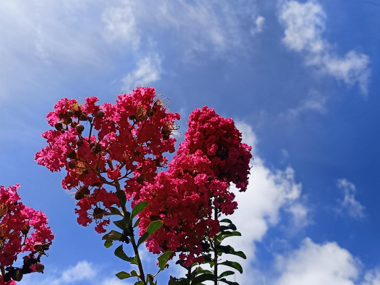 今日晴空万里，时光悄然向前。上午前去看望小孙宝，又欣喜见证孩子解锁新本领。小家伙