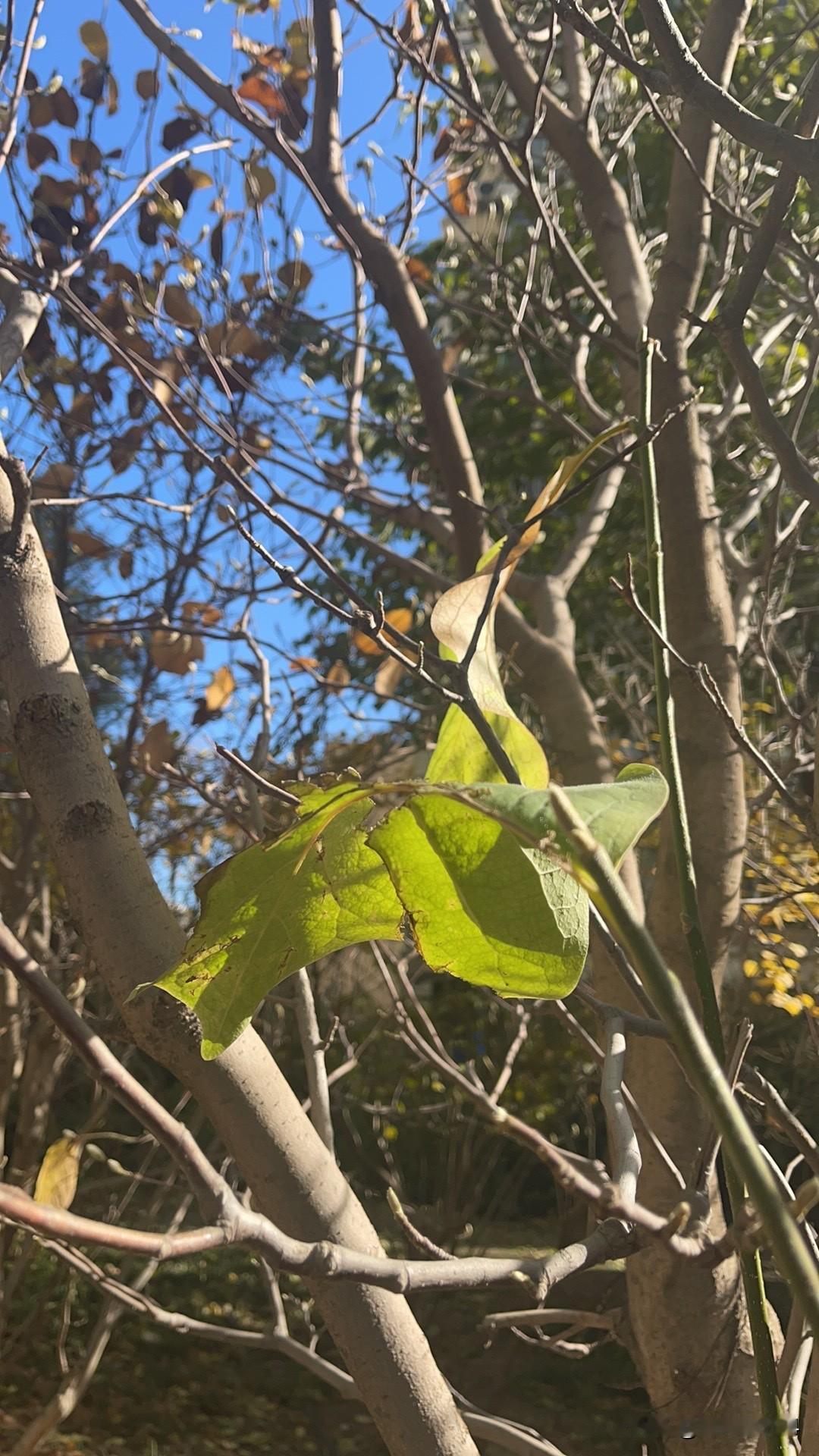 真正的讲无私、讲奉献的人还有吗?看看那些讲的和做的是不是不一样？讲的人最自私