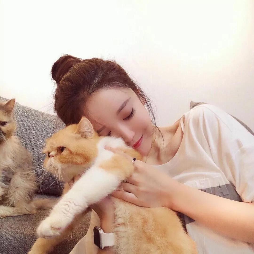 💕 温柔的猫咪时光，与毛孩子共度美好下午！萌宠毛孩儿 喜提猫崽 冬日暖猫写真 