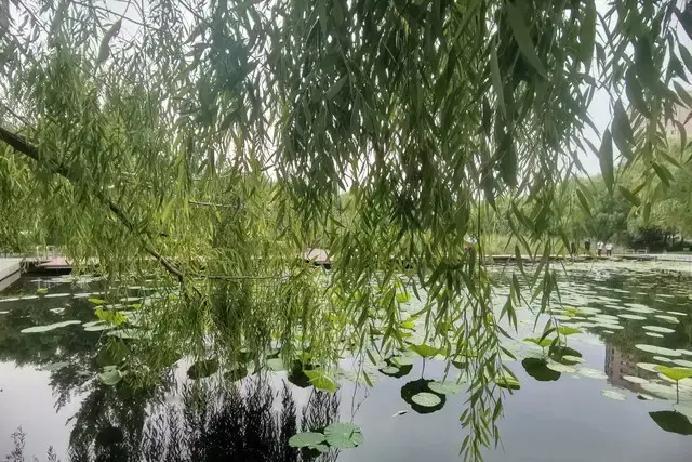 人生走到一半，很多人才突然醒悟：爱情再轰轰烈烈，也填不满所有空虚。年轻时候总觉得