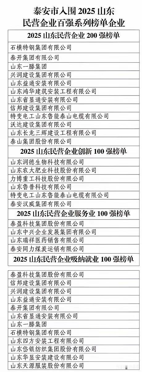 泰安亮牌！山东省泰安市2025年入围山东民营企业100强出炉！成绩非常亮眼！12