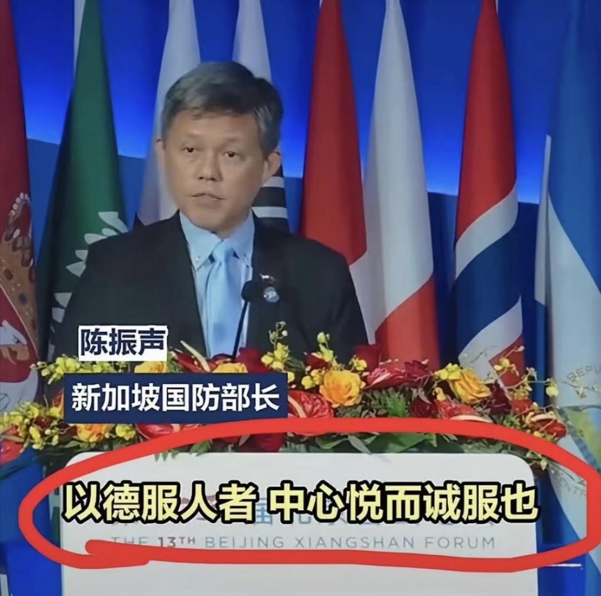 新防长陈振声：大国要“以德服人”，而不是“以力服人”，并声称“大国多一分担当，小