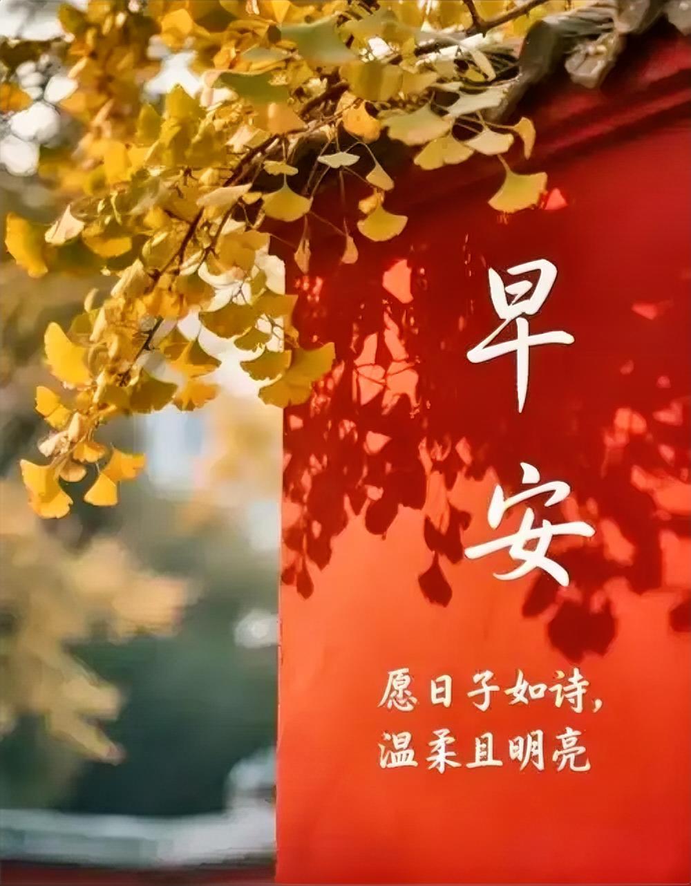 不负晨光，不负自己，早安，顺遂。
早安唯美图案分享 
早安温馨句子分享
