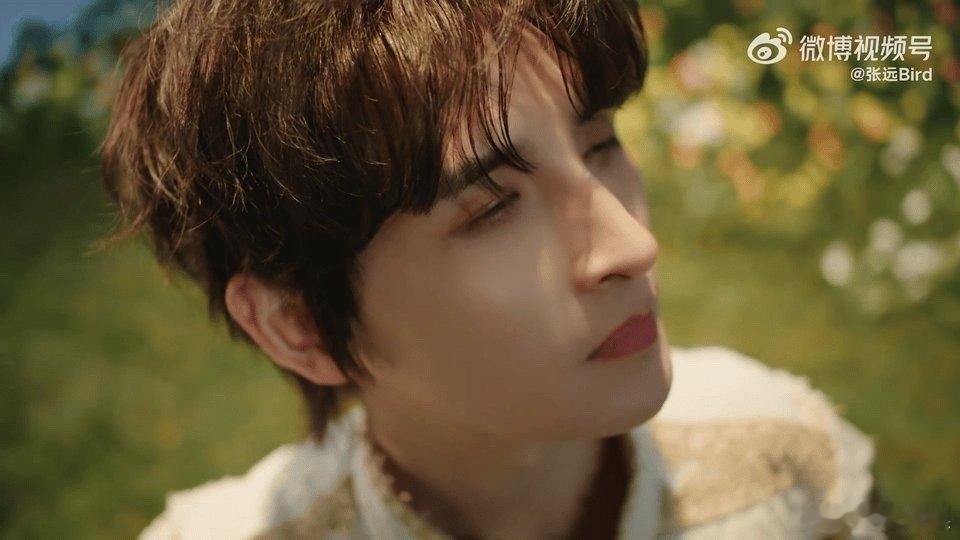 张远巡回演唱会 四巡终于来啦！从体育场狂欢到走心舞台，每一场都藏着初心，这种养成