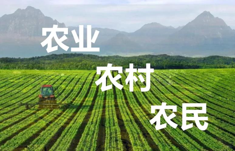 【2025年中央一号文件释放五大新信号！乡村振兴再提速】  

今日发布的202