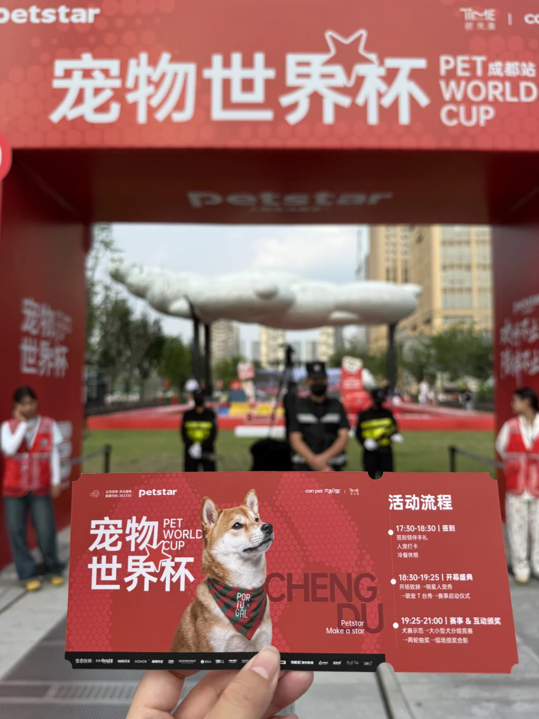 成都毛孩子的“世界杯”太安逸啦！⚽🐶