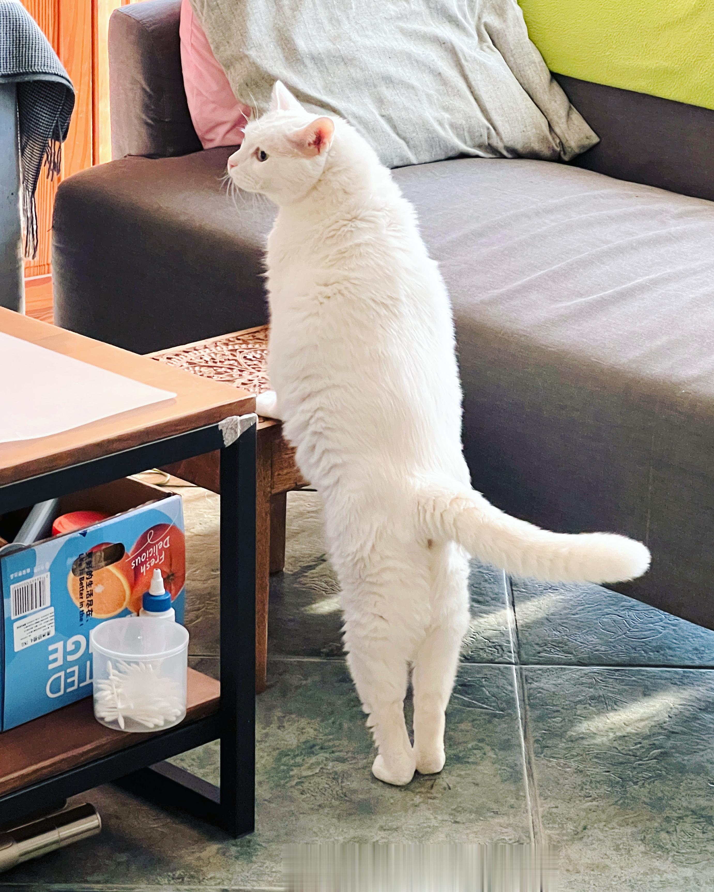 九頭身惹～～ ​​​