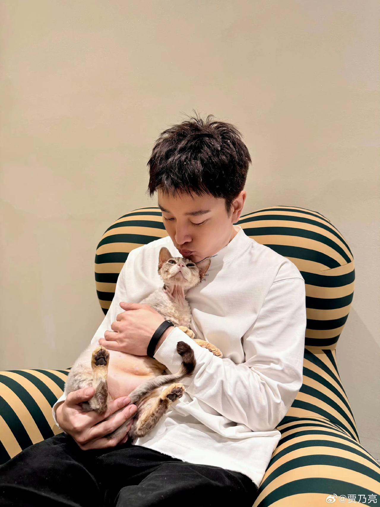 网传贾乃亮和私人助理生了个儿子，贾乃亮幽默回答一看手机，凭空出来个儿子，在这呢？