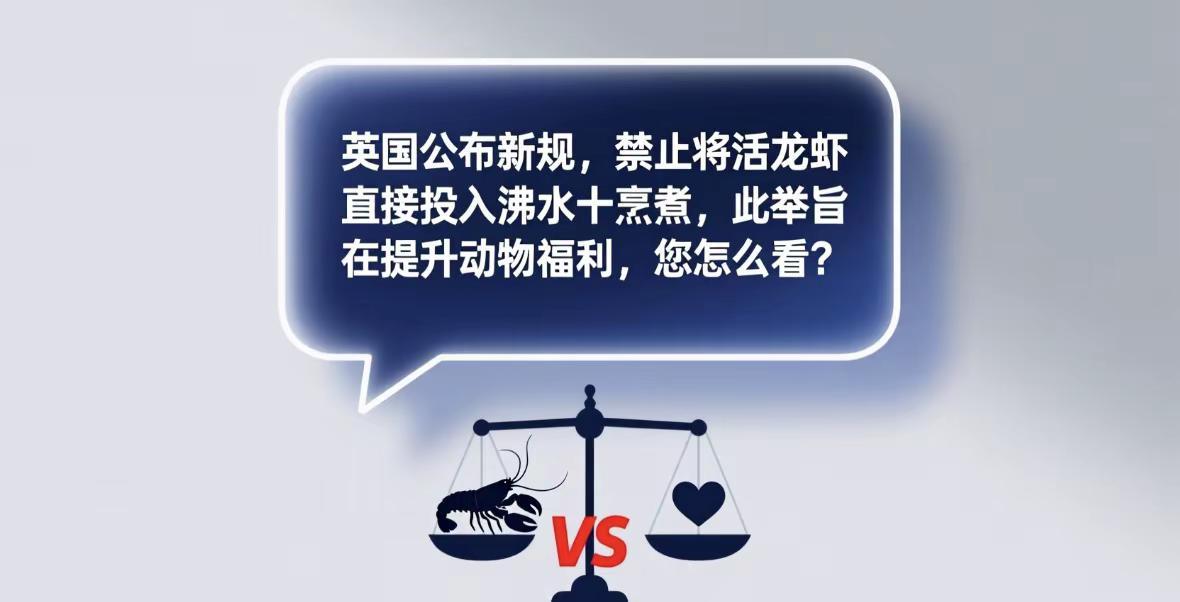 英国公布新规，禁止将活龙虾直接投入沸水中烹煮，此举旨在提升动物福利，您怎么看？