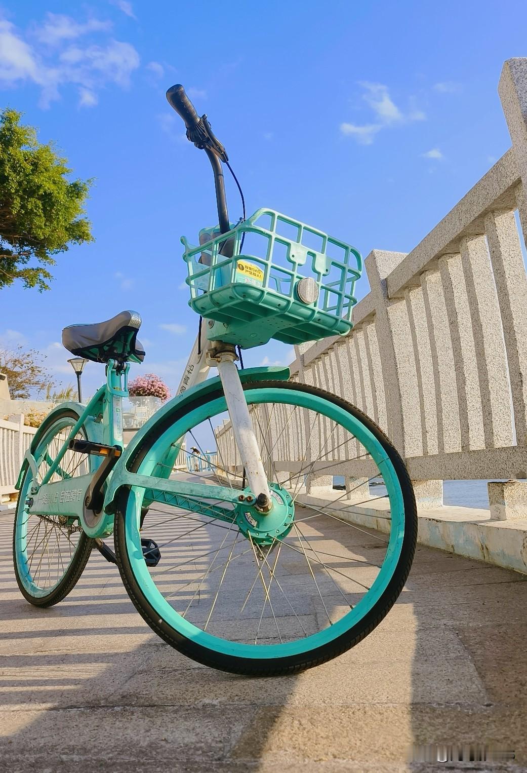 午后的自行车。原创自行车 骑自行车 自行车