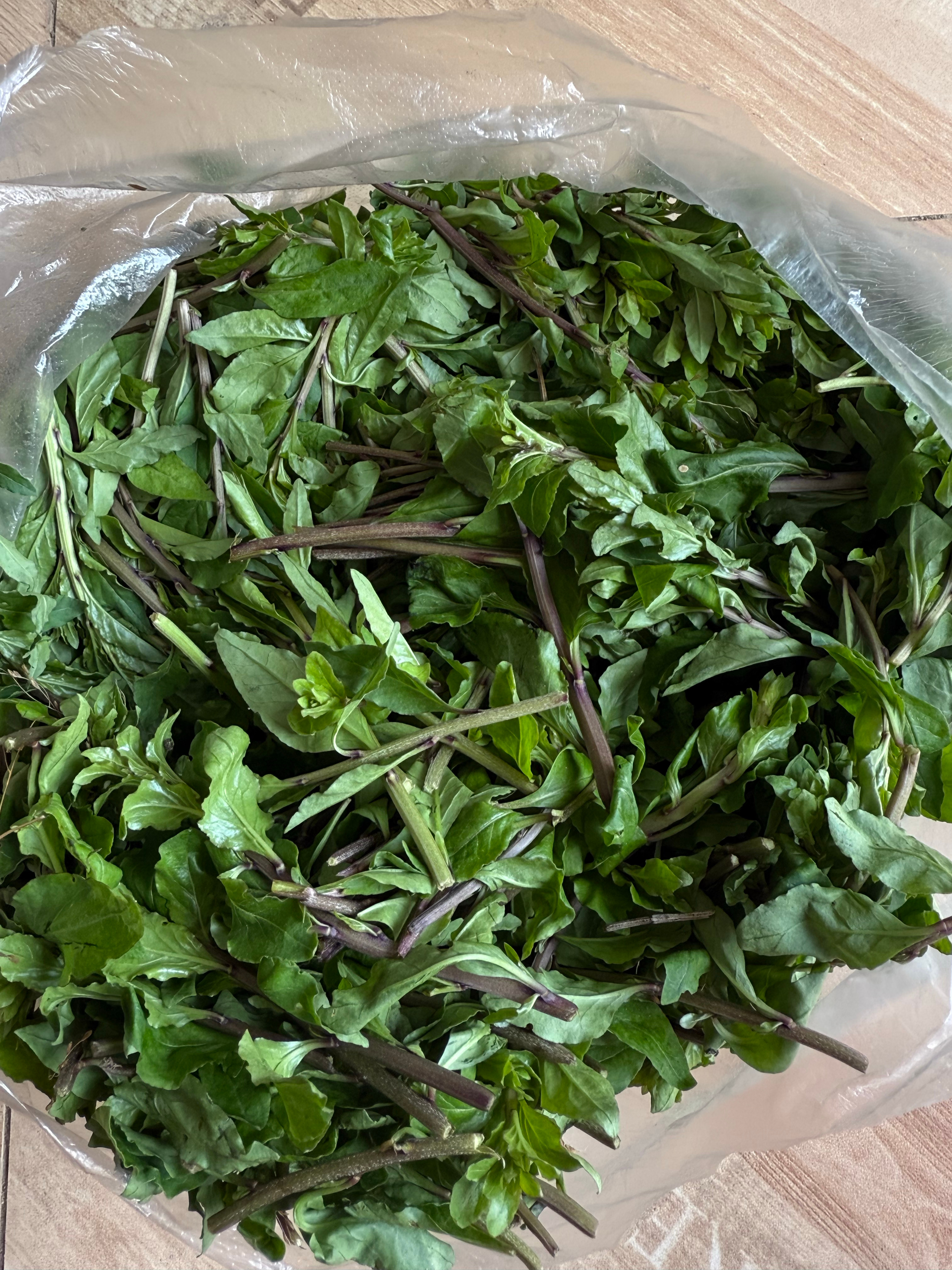 有认识这些野菜的吗？挖野菜的乐趣在于挖吃不吃都不重要就是享受的过程。前几天回去，