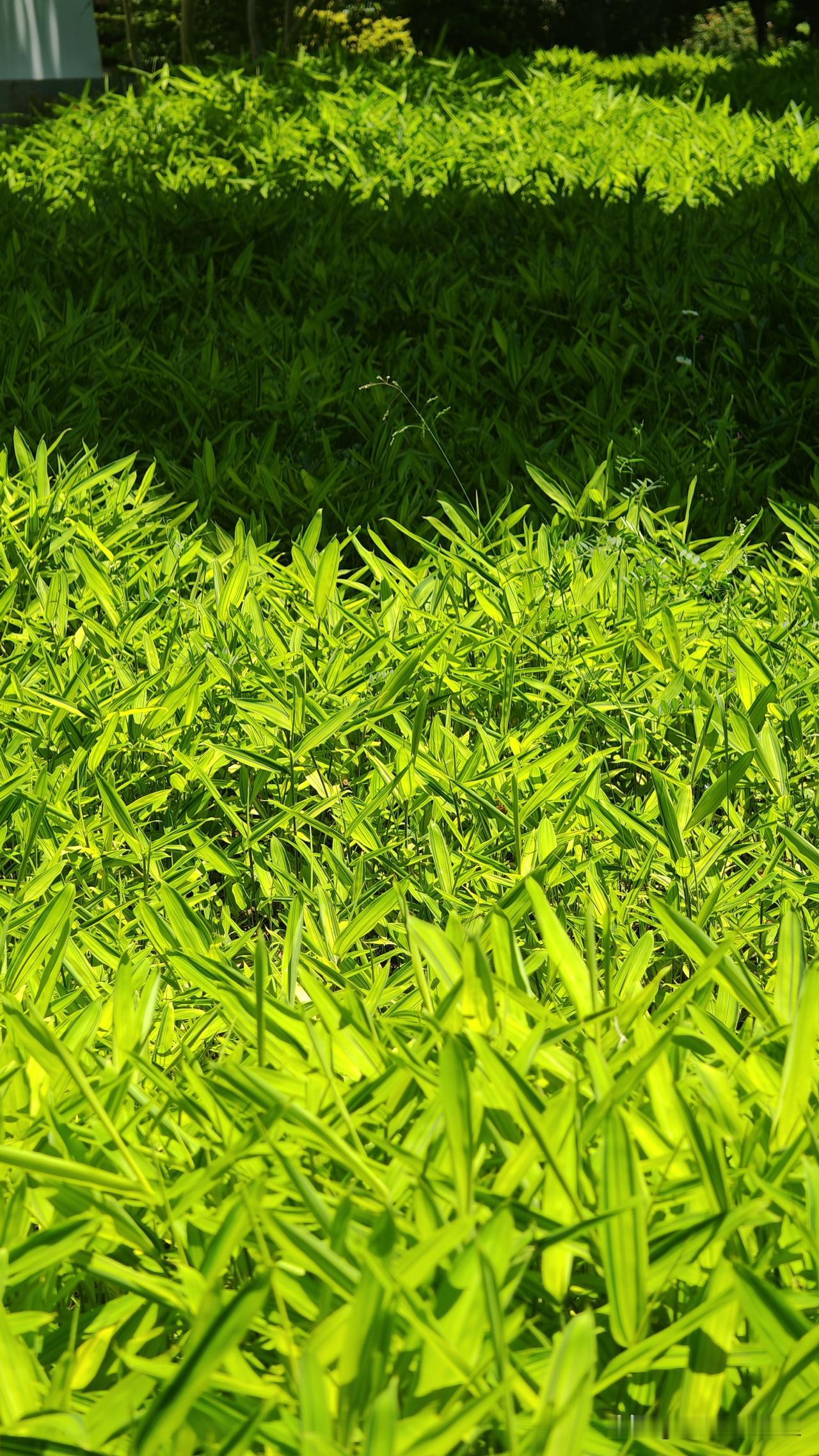 企业如何进行绩效考核?前阵子服务的一家玩具外贸公司，老板头疼“客户要改包装细节，