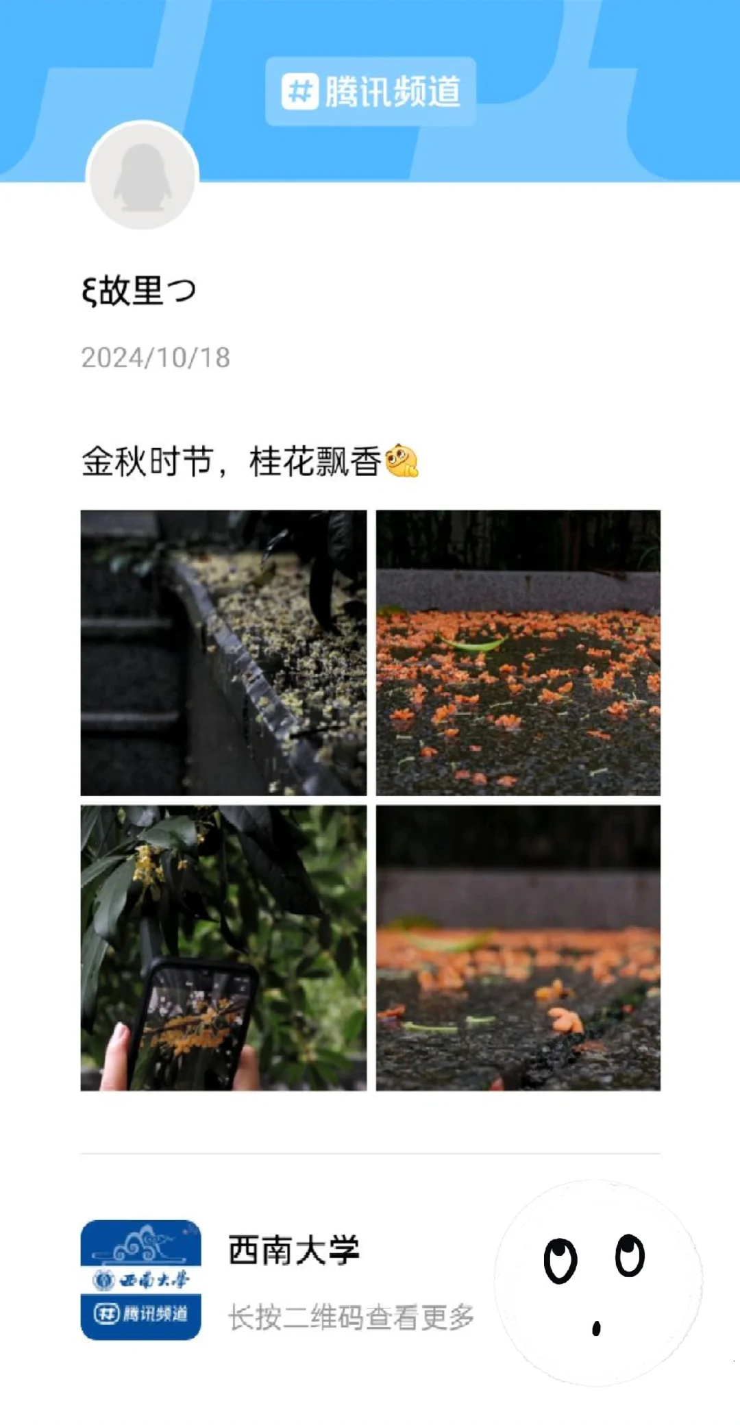 秋天的西南大学，大家都太浪漫了吧！