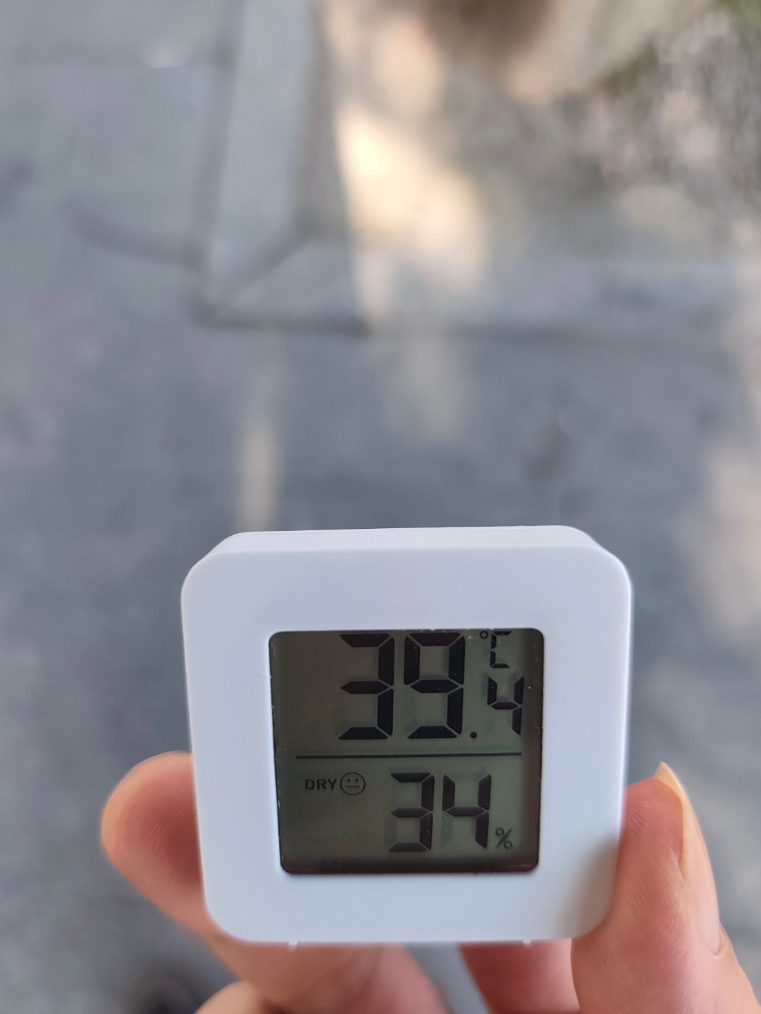 此刻，2026年8月11日下午五点，广州市白云区石井街道万科未来森林的户外林荫道