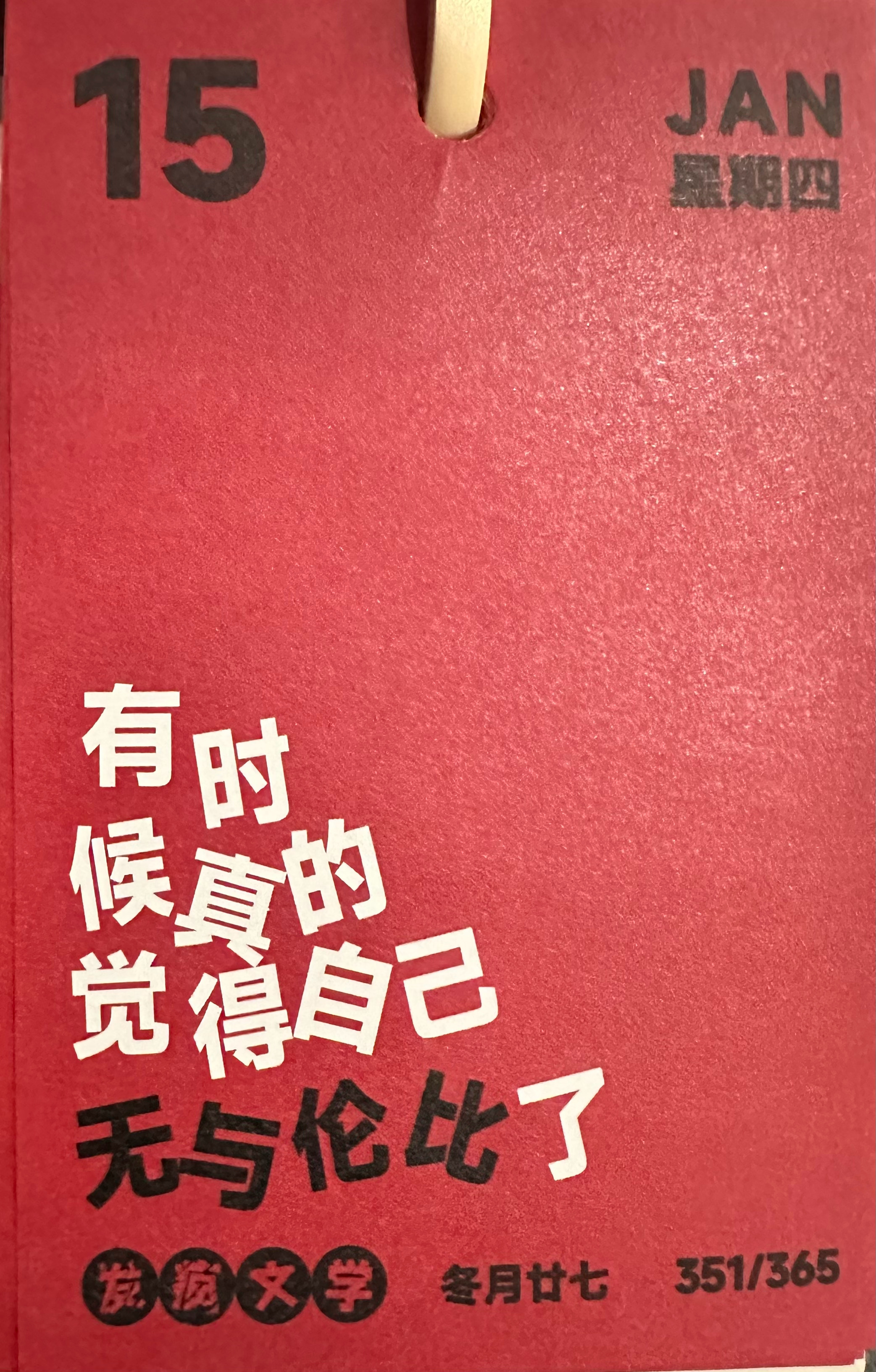 发疯文学📅1.15有时候真的觉得自己无与伦比了 