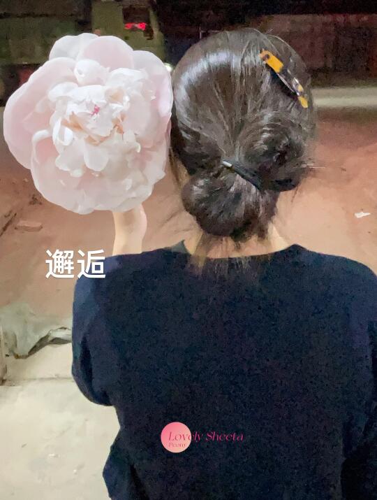 天啊什么芍药比头还大阿